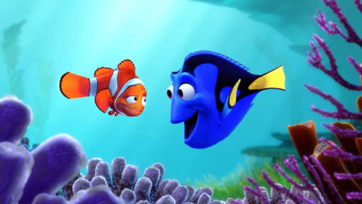 Facts about Dory 